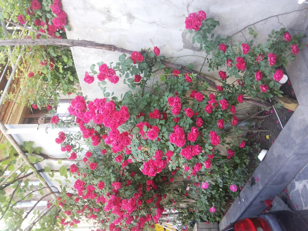 Guest House Svetlana Gori Ngoại thất bức ảnh